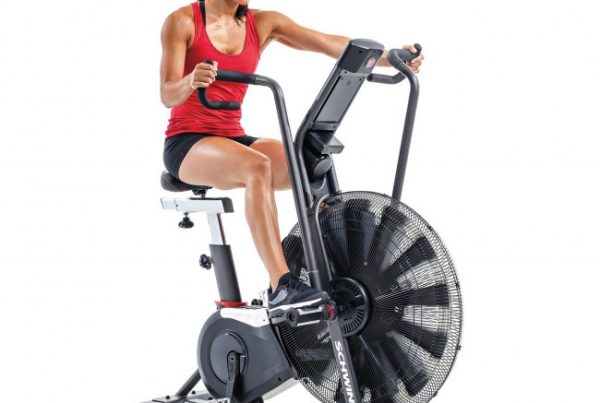 Schwinn Airdyne Pro